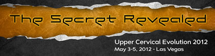 Upper Cervical Evolution Conference 2011